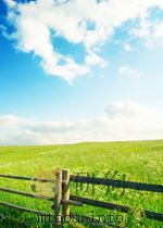 STANDARD FORMAT AND CONTENT OF A LICENSE APPLICATION FOR A LOW-LEVEL RADIOACTIVE WASTE DISPOSAL FACI（ PDF版）
