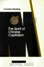 The Spirit of Chinese Capitalism 1993 PDF电子版封面 3110137941