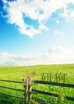 THE LAST OF CHERI 1932 PDF电子版封面 COLETTE