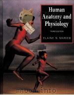 HUMAN ANATOMY AND PHYSIOLOGY THIRD EDITION PDF电子版封面 0805342818 ELAINE N.MARIEB