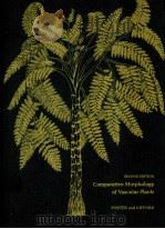 COMPARATIVE MORPHOLOGY OF VASCULAR PLANTS SECOND EDITION PDF电子版封面 0716707128 ADRIANCE S.FOSTER,ERNEST M.GIF