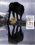 LIFE:THE SCIENCE OF BIOLOGY FOURTH EDITION PDF电子版封面 0716726297 WILLIAM K.PURVES,GORDON H.ORIA