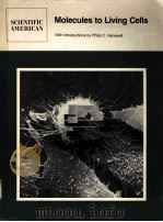 MOLECULES TO LIVING CELLS PDF电子版封面 0716712083 PHILIP C.HANAWALT