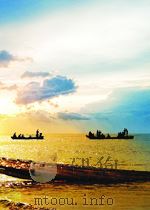 The Prospects of the Filipino 1978 PDF电子版封面
