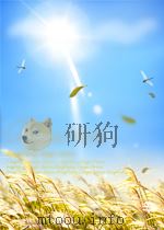 CHINESE AMERICA:HISTORY AND PERSPECTIVES 1992 1992 PDF电子版封面