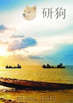 THE VICTORS PDF电子版封面 SHARAF RASHIDOV
