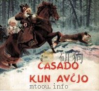 CASADO KUN AVCJO（ PDF版）