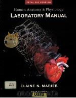 HUMAN ANATOMY AND PHYSIOLOGY LABORATORY MANUAL  FIFTH EDITION     PDF电子版封面  0805340564  ELAINE N.MARIEB 
