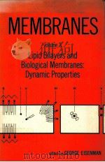 MEMBRANES:A SERIES OF ADVANCES VOLUME 3 LIPID BILAYERS AND BIOLOGICAL MEMBRANES:DYNAMIC PROPERTIES PDF电子版封面 0824761782
