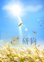 RUSKIN AND SOCIAL REFORM PDF电子版封面 1845113497 GILL G.COCKRAM