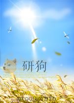 HANIF KUREISHI GABRIEL'S GIFT（ PDF版）