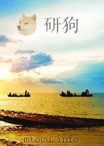 RATIONALITAT UND DEMOKRATIE PDF电子版封面 3169451405 KARL HOMANN