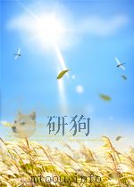 THE PRESENCE OF THE PAST IN MODERN AMERICAN DRAMA PDF电子版封面 0838633323 PATRICIA R.SCHROEDER