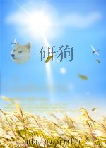 THE OUTLAWS OF MESQUITE PDF电子版封面 LOUIS L'AMOUR