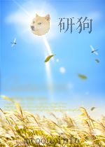 THE NEW ENGLISH LITERATURES:CULTURAL NATIONALISM IN A CHANGING WORLD PDF电子版封面 0333240715 BRUCE KING