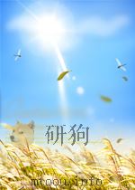 METAPHYSICS THE LOGICAL APPROACH（ PDF版）