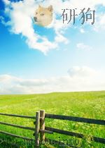 ETHICAL AND ENVIRONMENTAL CHALLENGES TO ENGINEERING（ PDF版）