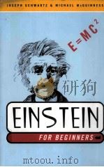 EINSTEIN FOR BEGINNERS PDF电子版封面 0375714596