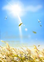 ELIDIOMA CELESTIAL:CURSO FUNDAMENTAL PDF电子版封面 0442279310 JAMES B.SILMAN