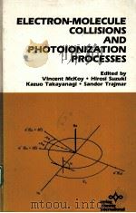 ELECTRON-MOLECULE COLLISIONS AND PHOTOIONIZATION PROCESSES（ PDF版）