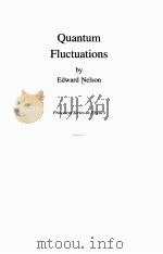 QUANTUM FLUCTUATIONS（ PDF版）