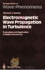 ELECTROMAGNETIC WAVE PROPAGATION IN TURBULENCE:EVALUATION AND APPLICATION OF MELLIN TRANSFORMS PDF电子版封面 3540576193 RICHARD J.SASIELA