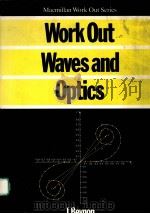 MACMILLAN WORK OUT SERIES WORK OUT WAVES AND OPTICS PDF电子版封面 033346334X J.BEYNON