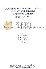 CAP-NSERC SUMMER INSTITUTE IN THEORETICAL PHYSICS EDMONTON,ALBERTA 10-25 JULY,1987 VOL.I QUANTUM PDF电子版封面 9971504332 F.C.KHANNA,H.UMEZAWA,G.KUNSTAT