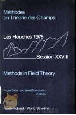 METHODES EN THEORIE DES CHAMPS METHODS IN FIELD THORY（ PDF版）