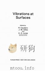 VIBRATIONS AT SURFACES PDF电子版封面 0306408244 R.CAUDANO,J.-M.GILLES AND A.A.