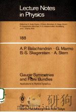 GAUGE SYMMETRIES AND FIBRE BUNDLES:APPLICATIONS TO PARTICLE DYNAMICS 1983 PDF电子版封面 3540127240 A.P.BALACHANDRAN,G.MARMO,E.-S.