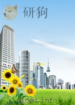 Workshop Course 628/89 ECONOMIC GUIDELINES GOLD EXPLORATION VOLUME 2 1989 PDF电子版封面