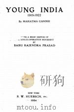 YOUNG INDIA 1919-1922（ PDF版）