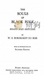THE SOULS OF BLACK FOLK（ PDF版）