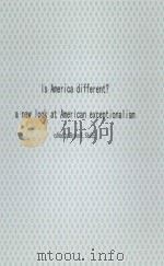 IS AMERICA DIFFERENT? 1991 PDF电子版封面 0198277342 BYRON E.SHAFER