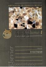 ADVANCES IN POROUS MEDIA  VOLUME 1（ PDF版）
