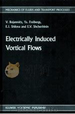 ELECTRICALLY INDUCED VORTICAL FLOWS PDF电子版封面 9024737125