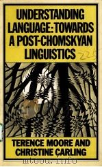 UNDERSTANDING LANGUAGE:TOWARDS A POST-CHOMSKYAN LINGUISTICS PDF电子版封面 0333331087