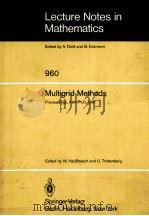 MULTIGRID METHODS 1982 PDF电子版封面 3540119558
