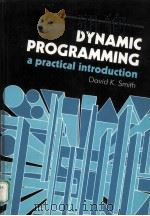 DYNAMIC PROGRAMMING:A PROACTICAL INTRODUCTION PDF电子版封面 013221797X DAVID K.SMITH