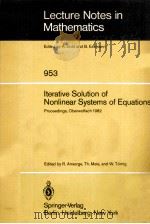 LTERATIVE SOLUTION OF NONLINEAR SYSTEMS OF EUQATIONS 1982 PDF电子版封面 3540116028