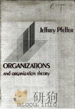 ORGANIZATIONS AND ORQANIZATION THEORY PDF电子版封面 0273018515