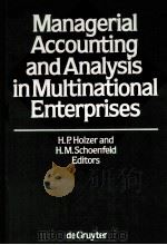 MANAGERIAL ACCOUNTING AND ANALYSIS IN MULTINATIONAL ENTERPRISES 1986 PDF电子版封面 3110100819