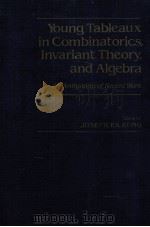 YOUNG TABLEAUX IN COMBINATORICS,INVARIANT THEORY,AND ALGEBRA AN ANTHOLOGY OF RECENT WORK PDF电子版封面 0124287808 JOSEPH P.S.KUNG