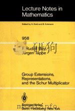 GROUP EXTENSIONS,REPRESENTATIONS,AND THE SCHUR MULTIPLICATOR 1982 PDF电子版封面 354011954X