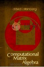 COMPUTATIONAL MATRIX ALGEBRA（ PDF版）