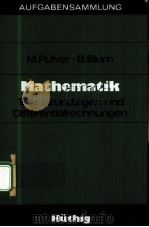 MATHEMATIK  TEIL 1：GRUNDLAGEN UND DIFFERENTIALRECHNUNGEN（ PDF版）