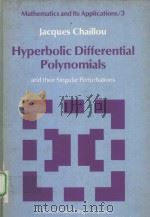 HYPERBOLIC DIFFERENTIAL POLYNOMIALS AND THEIR SINGULAR PERTURBATIONS PDF电子版封面 9027710325 J.W.NIENHUYS