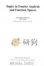 TOPICS IN FOURIER ANALYSIS AND FUNCTION SPACES     PDF电子版封面  0471908959   
