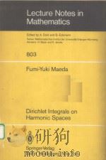 DIRICHLET INTEGRALS ON HARMONIC SPACES 1980 PDF电子版封面 3540099956